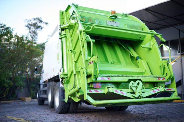 Yard Cleanup Services in Timberlane, LA